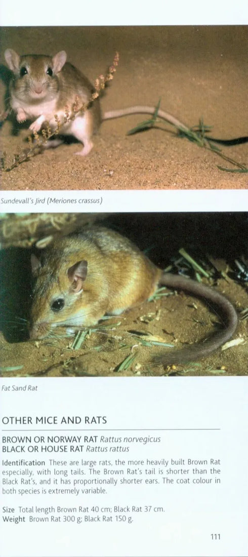 Mammals of North African and the Middle East - Pocket Photo Guide -Chris Stuart 2016